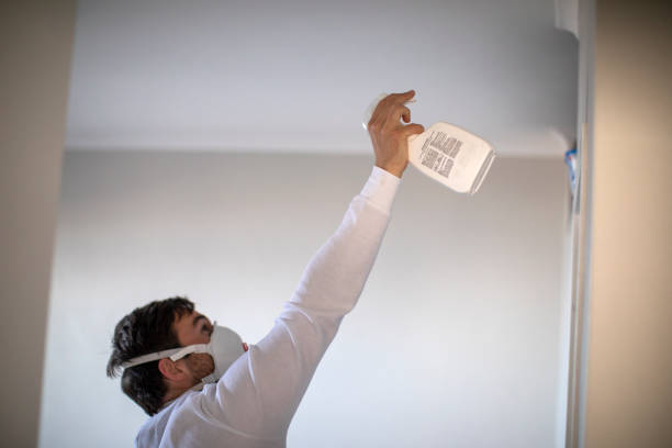 Best Crawl Space Mold Removal  in Lookout Mountain, GA