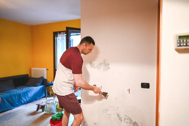 Best Mold Removal Specialists  in Lookout Mountain, GA